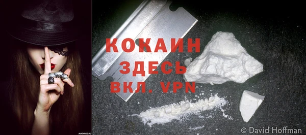 COCAINE Бородино